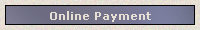 Online Payment