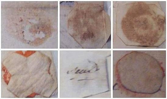 marylanddefacedseals.jpg - 61429 Bytes